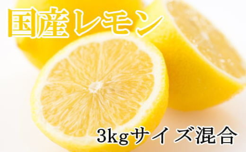 【産直】和歌山産レモン約3kg（サイズ混合）★2026年3月中旬頃より順次発送【TM150】 86443 - 和歌山県上富田町