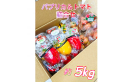 パプリカは色によって味が少しずつ違ったり、栄養素が違ったりします。サラダや炒め物はもちろん、ピクルスや天ぷら、きんぴらなどもオススメです。肉厚の【宮城県産】パプリカを色々な食べ方でお楽しみ下さい。トマ