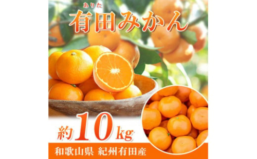完熟有田みかん　10kg［2026年11月下旬以降発送］［先行予約］［UT11］ 86508 - 和歌山県上富田町
