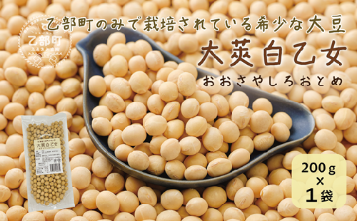＜大莢白乙女大豆 1袋＞大粒で甘い乙部町地大豆 北海道 北海道産 道産 国産 国産大豆 乙部町 地大豆 特産品 大豆 甘い 大粒 コク