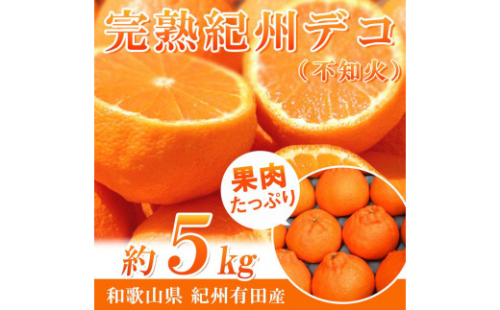 完熟紀州デコ(不知火) 約5kg　果肉プリプリ♪［2026年2月下旬以降発送］［先行予約］［UT43］ 86510 - 和歌山県上富田町