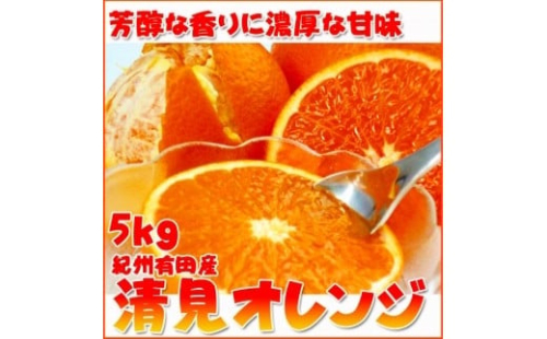 とにかくジューシー清見オレンジ　5kg【2025年3月下旬以降発送】【先行予約】【UT53】 86511 - 和歌山県上富田町