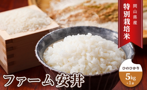 特別栽培米 ひのひかり 5kg×1袋 米 白米 岡山県産 ファーム安井 865148 - 岡山県赤磐市