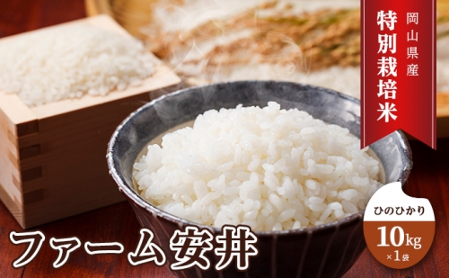 特別栽培米 ひのひかり 10kg×1袋 米 白米 岡山県産 ファーム安井 865149 - 岡山県赤磐市