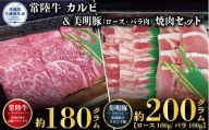 【焼肉セット】常陸牛180g・美明豚200g（茨城県共通返礼品）