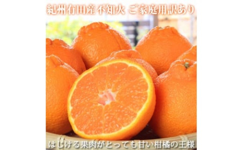 ［ご家庭用訳有り］紀州有田産不知火(しらぬひ) 約8.5kg［2026年2月中旬以降発送］［先行予約］［UT41］ 86524 - 和歌山県上富田町