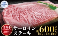 【常陸牛】サーロインステーキ 600g（300g×2枚）（茨城県共通返礼品）