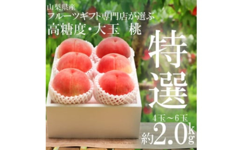 ＜25年発送先行予約＞山梨県笛吹市産 旬の採れたて特選大玉 桃 2.0kg(4～6玉入) 105-009