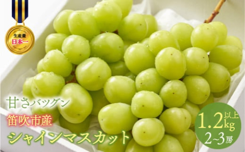 ＜2025年発送＞甘さ抜群プリプリ　シャインマスカット　2～3房　1.2kg以上 168-001
