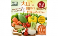 MS-02　新鮮朝採れ野菜セット