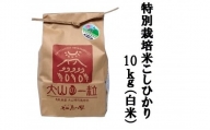 MS-13減農薬・減化学肥料 特別栽培米こしひかり10kg