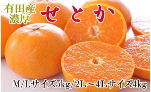 一度は食べていただきたい「有田産のせとか」約4～5kg（サイズおまかせ）★2025年2月中旬頃より順次発送【TM138】 86594 - 和歌山県上富田町