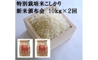 MS-21　特別栽培米こしひかり(令和5年産新米)10kg×2回