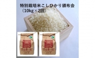 MS-19　特別栽培米こしひかり頒布会（10kg×2回）