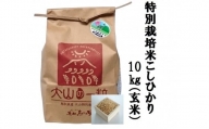 MS-16 減農薬・減化学肥料 特別栽培米こしひかり10kg 玄米 令和5年産新米
