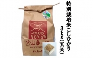 MS-14 減農薬・減化学肥料 特別栽培米こしひかり3kg 玄米