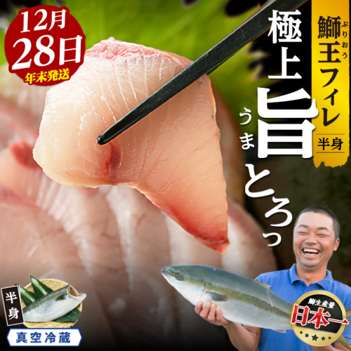＜数量限定＞【2025年12月28日発送】『旅サラダ』で紹介ぶりの王様「 鰤王 」 フィレ 半身 (約1.2kg～・フィレ1枚) 産地直送 新鮮 旨味が抜群の 長島町 特産品 ブランド ぶり 鰤 ブリ 切り身 真空 冷蔵 刺身 ぶりしゃぶ しゃぶしゃぶ 魚 魚介 人気 ランキング 年末年始発送 【JFA】jfa-7006-28 86644 - 鹿児島県長島町