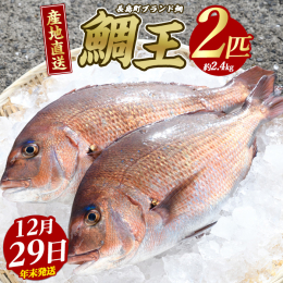 「鯛王」は長島町の潮流に育まれたブランド真鯛です。稚魚から大切に育てられ、 色や形・大きさの厳しい基準を満たしたもののみが「鯛王」として認められます。 養殖鯛でありながら旨味や食感にこだわり抜いた逸品