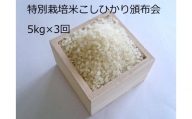 MS-24　特別栽培米こしひかり頒布会（5kg×3回）