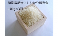 MS-25　特別栽培米こしひかり頒布会（10kg×3回）