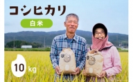 令和5年 コシヒカリ 白米 10kg×1 [農家にしの 石川県 宝達志水町 38600572] 米 お米 ご飯 ごはん