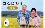令和5年 コシヒカリ 玄米 10kg×1 [農家にしの 石川県 宝達志水町 38600574] 米 お米 ご飯 ごはん