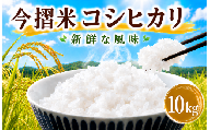 今摺米 特別栽培米 コシヒカリ 10kg 令和7年産 JA ブランド米 米 お米 米10kg 精米 いまずりまい ごはん こめ おむすび おにぎり 弁当 おかず 色彩選別 鮮度 雪解け水 贈答 ギフト 国産 新潟 新発田 JA北新潟 こったま〜や D50_02