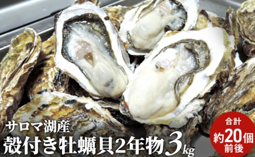 サロマ湖産 殻付きカキ貝 3kg（2年物）【北勝水産】 北海道 オホーツク