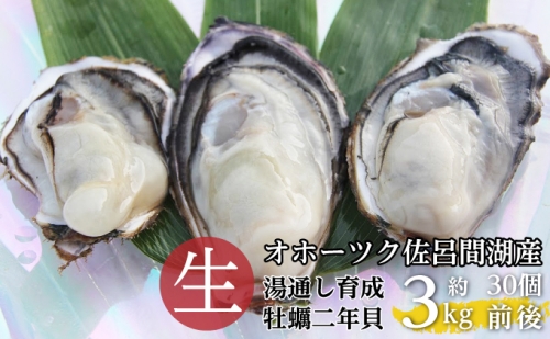 湯通し育成カキ（二年貝）約3kg（30個前後） 佐呂間産 【第八恵祐丸