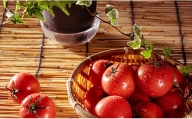 江口農園完熟つぶしトマト