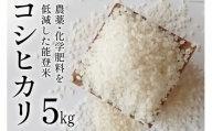 【先行受付】米 令和6年 能登米 コシヒカリ 精米 5kg [みどりの波 石川県 宝達志水町 38600567] お米 ごはん 白米 こしひかり 美味しい