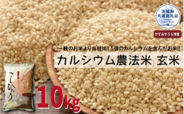 【ふるさと納税】カルシウム農法米 玄米10kg（茨城県共通返礼品・かすみがうら市産）