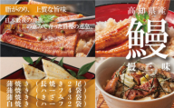 23-364．高知県産うなぎ三昧　長尾2尾＋ハーフ4袋＋きざみ3袋＋白焼ハーフ2袋