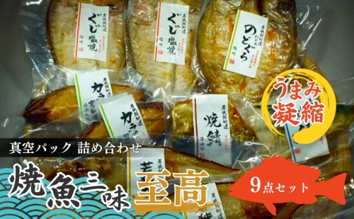 焼魚ざんまい 至高（真空パック焼魚9点セット）若狭かれい、のどぐろ、ぐじ、など 魚介類 焼き魚セット  86965 - 福井県若狭町