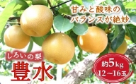 梨 豊水 5kg 12~16玉 予約受付 千葉県 白井市 しろいの梨