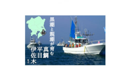 夷隅東部漁業協同組合に所属する遊漁船40隻以上で使用可能な釣船乗船券です!いすみ市沖には器械根と言う広大かつ良好な漁場があり、初心者からベテランまで一年を通して様々な魚種を狙った釣りをお楽しみいただけ