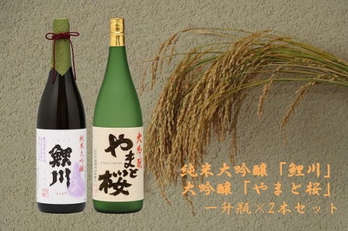 【522-067】純米大吟醸「鯉川」・大吟醸「やまと桜」2本セット（1800ml×2本）