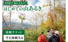 山の自然に触れながら、剱岳を望む頂上広場までの散策道を無理のないペースで往復します。トコトコのハイキングツアーは、五感が反応する小さな発見に意識を向けながら、気がついたら頂上にいるという「疲れない山歩
