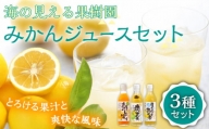 【着日指定 可能】【自家栽培の柑橘のみを使用】みかん ジュース 3本 セット【善果園】 [KAA359]