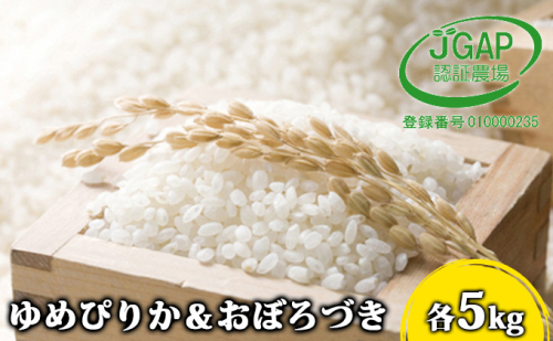 北海道日高【田中農園】R5年産 ゆめぴりか＆おぼろづき 各5kg 食べ比べ セット JGAP認証 87039 - 北海道日高町