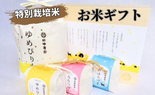 北海道 日高【田中農園】R7年産 お米 ギフト 特別栽培米 87040 - 北海道日高町