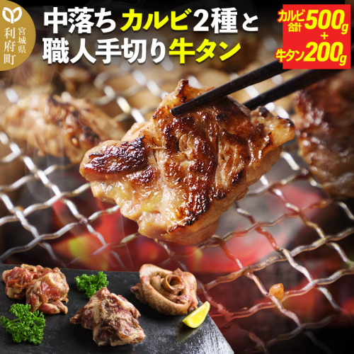 中落ちカルビ２種と職人手切り牛タン (カルビ計500g、牛タン200g) 870505 - 宮城県利府町
