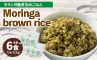 MorinGa brown rice(モリンガ発芽玄米ご飯) 125g×6食 合計750g 発芽 玄米 機能性表示食品 GABA