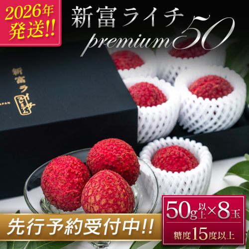 ［2026年発送］先行予約 希少！国産＜新富ライチpremium50＞50g以上×8玉 国産 ブランド フルーツ 果物 贈答品【C52-26】 87085 - 宮崎県新富町