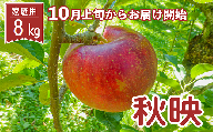 りんご 秋映 家庭用 8kg