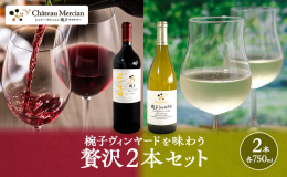 ■椀子オムニス 【アルコール度数】14％ 【使用品種】カベルネ・フラン40％、メルロー36％、カベルネ・ソーヴィニヨン16％、プティ・ヴェルド8％ 【育成】オーク樽にて約19カ月間育成 メルシャンは最