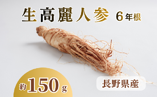 生高麗人参 6年根 大 150g 高麗人参 生 六年生 健康食品 健康 疲労回復 血行 改善 食品 美容 特産 薬膳 高麗人参酒 人参 調理 長野 信州 871817 - 長野県上田市