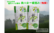 【新茶】ギフト用 八女新茶　一番摘み 特撰（100g×2袋）【2024年5月発送開始】
