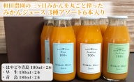 和田農園の三ヶ日みかんを丸ごと搾ったみかんジュース 3種アソート6本入り