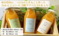和田農園の三ヶ日みかんを丸ごと搾ったみかんジュース 3種アソート 10本入り